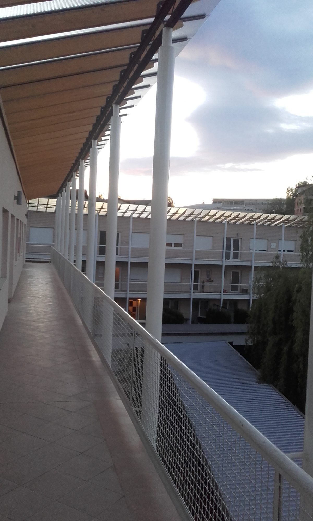Domov