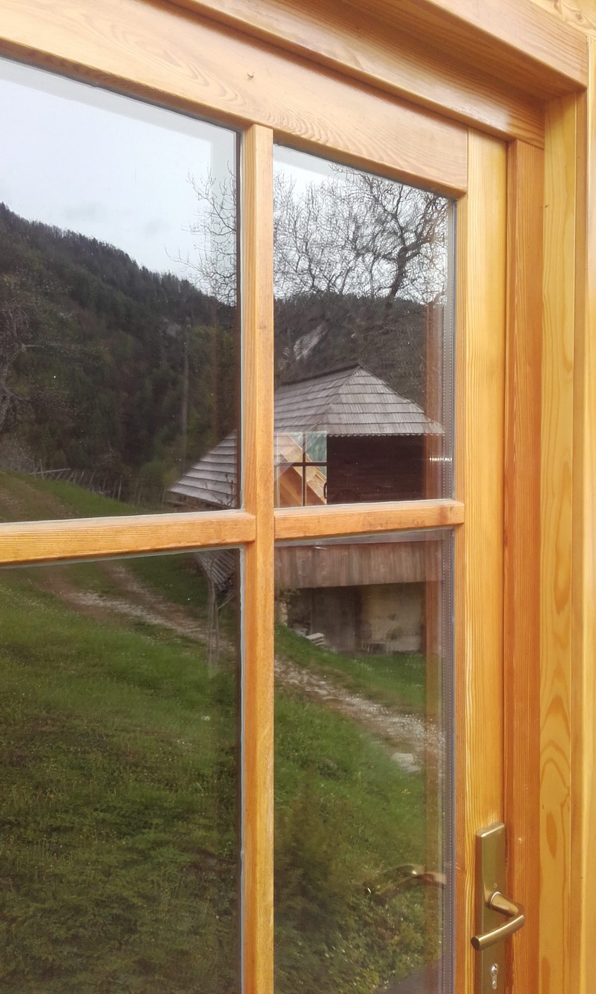 Domov